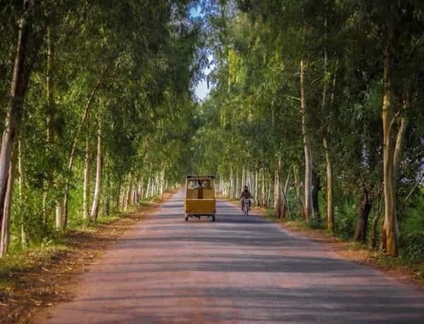 Streets of Pakistan